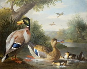 Ducks in a River Landscape